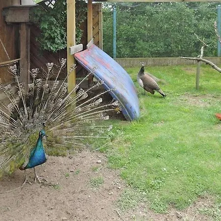 Beautiful With A Fenced Yard, *