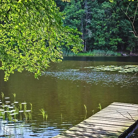 In Near Baltic Sea Kołczewo