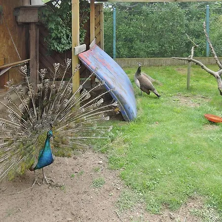 In Near Baltic Sea Ferienhaus Kołczewo