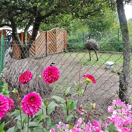 In Near Baltic Sea * Kołczewo