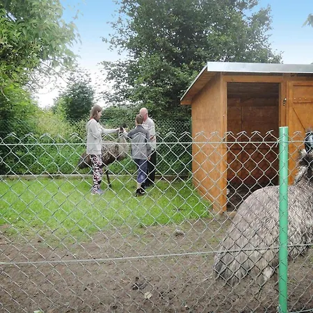 Ferienhaus In Near Baltic Sea Kołczewo