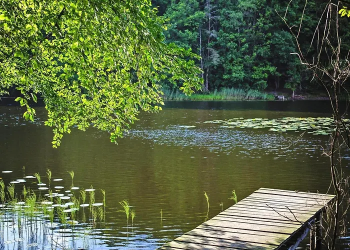 In Near Baltic Sea Kołczewo