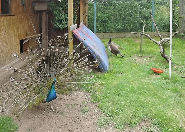 In Near Baltic Sea Vakantiehuis Kołczewo