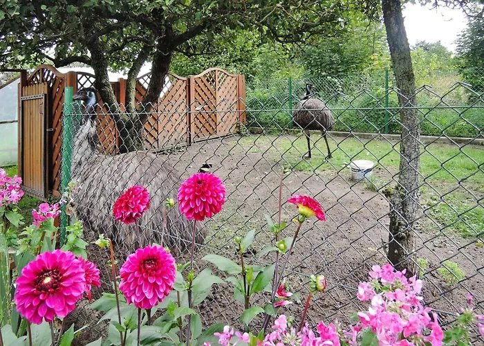 In Near Baltic Sea * Kołczewo
